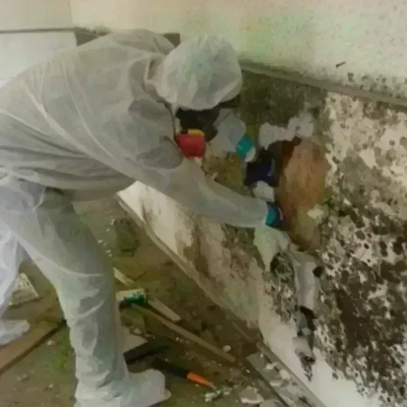 Mold Remediation and Removal in Chevak, AK