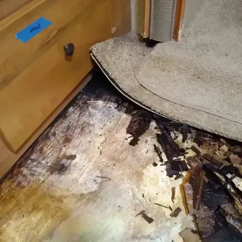 Wood Floor Water Damage in Chevak, AK